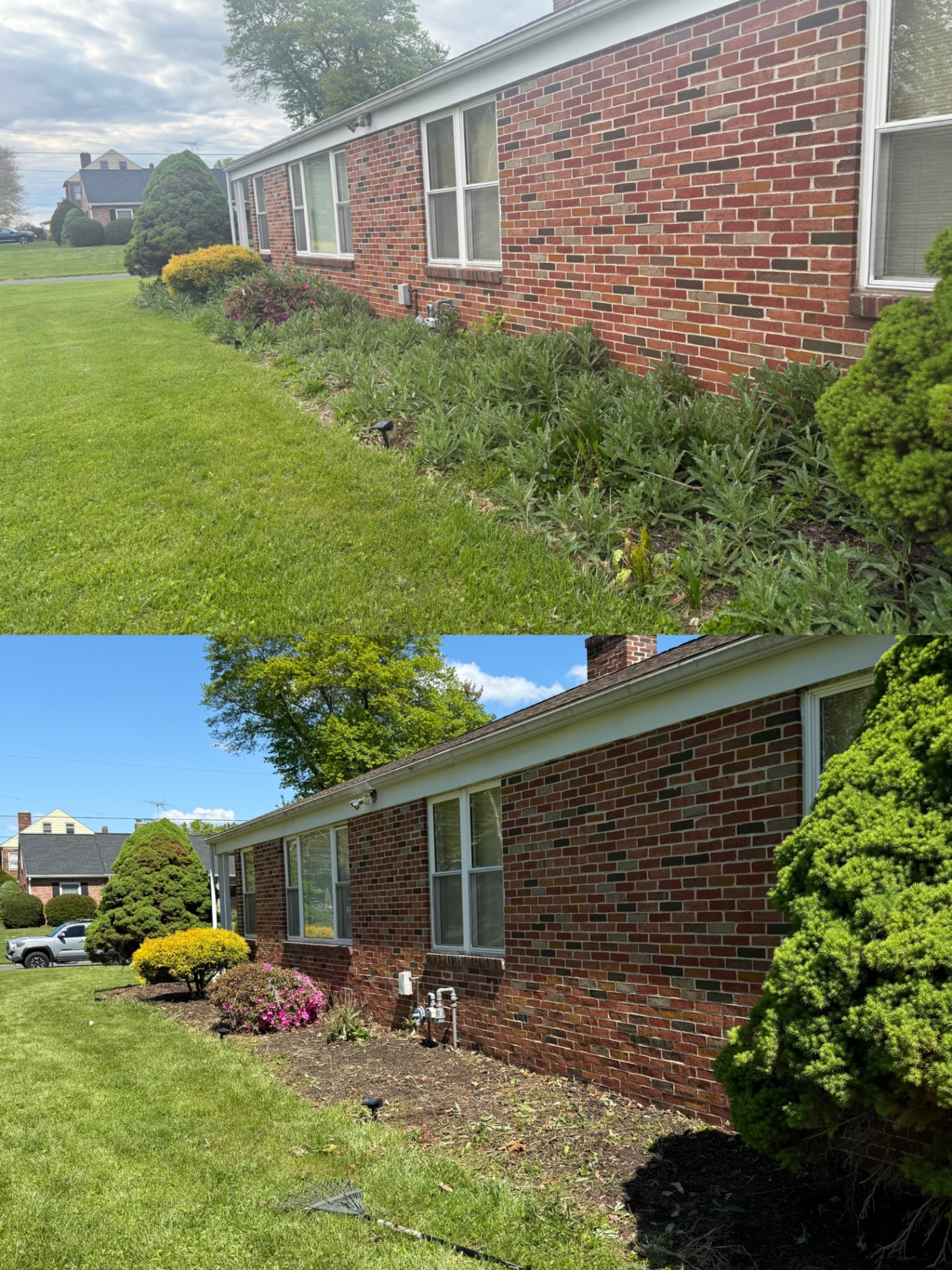 Bed weeding before and after